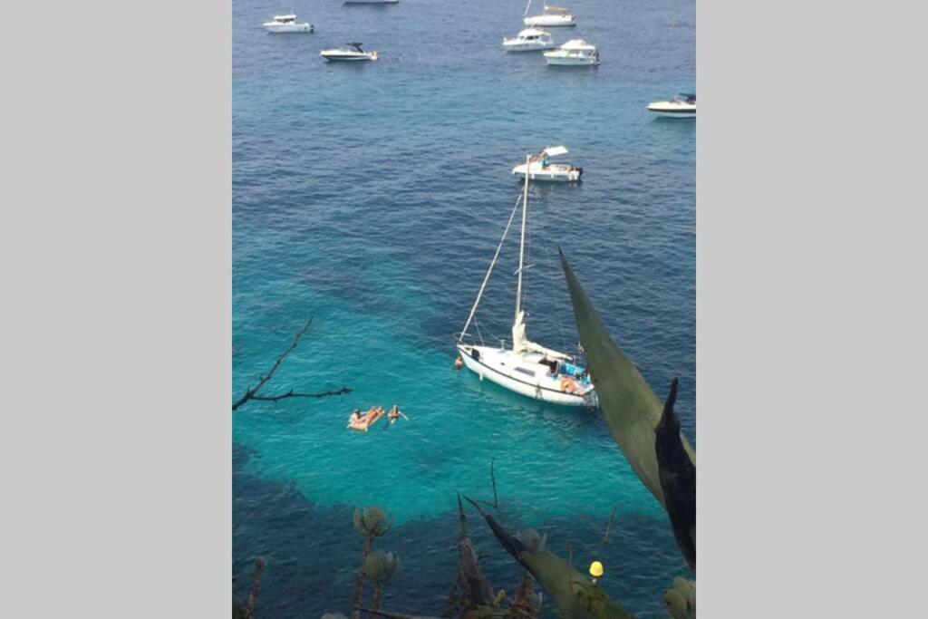 Cap D'Antibes Daire Dış mekan fotoğraf